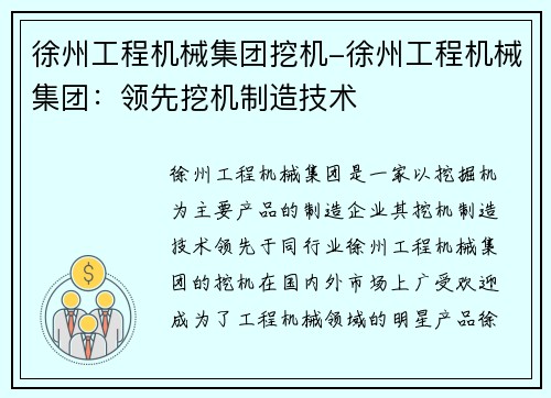 徐州工程机械集团挖机-徐州工程机械集团：领先挖机制造技术